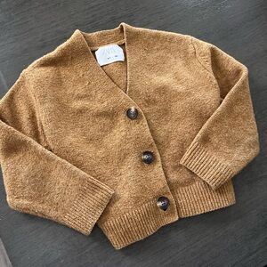 Zara Tan Kids Sweater
